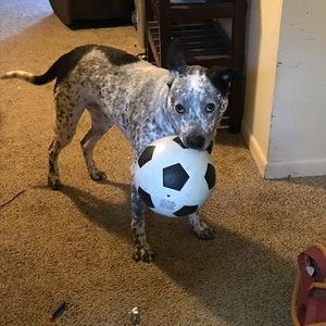 Meet your Posher, Marnia